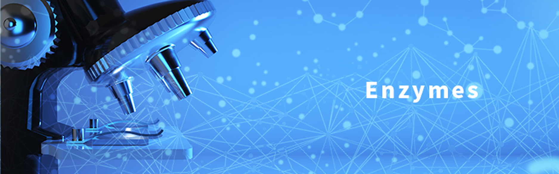 High Purity Alkaline Protease Detergent Enzyme Powder with 12 Months Shelf Life in 25kg Paper Box