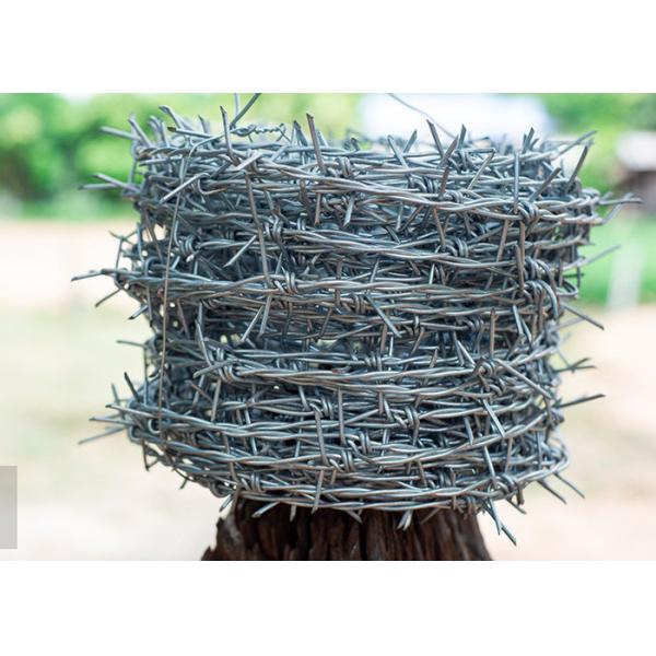 Farm Protection Single Strand Galvanized Steel Barbed Wire Fence Construction Protection