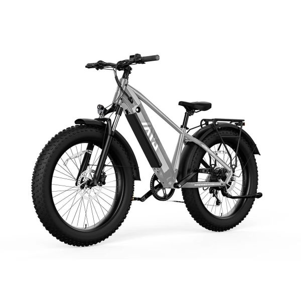 F612 F622 Fat Tire Ebike Remove Lithium Battery Pack 750W Motor 7 Speed Hydraulic Disc Brake Fat Bike