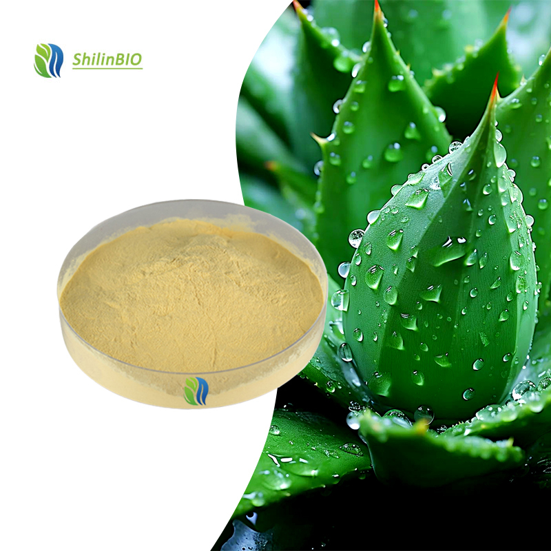 High Quality Aloe Vera Extract 20% 40% Barbaloin Powder