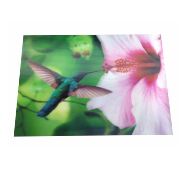 5D 0.50mm PET Reusable Beautiful Landscapes Wallpaper