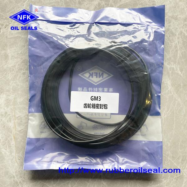 GM2-3500 Комплект по ремонту моторных установок Морские герметические комплекты для гидравлических систем судов