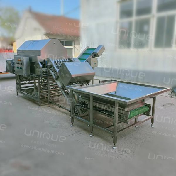 Машины для очистки лука Маленькие и большие Машины для очистки лука 4970*1510*1813 мм 3 кВт