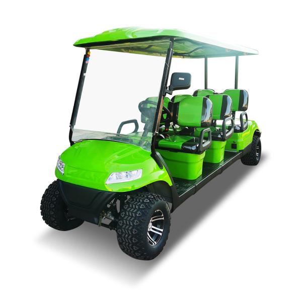 Carrinho de golfe elétrico de 4 6 8 lugares 100Ah Carro de turismo elétrico Veículo 30mph