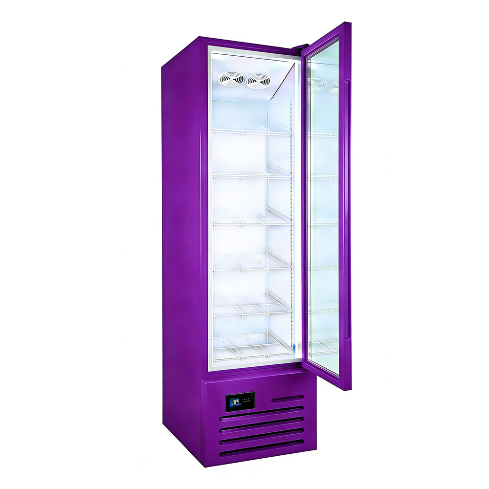 240V 50Hz Display Glass Door Freezer 1600mm Beverage Single Door Cooler Display Fridge