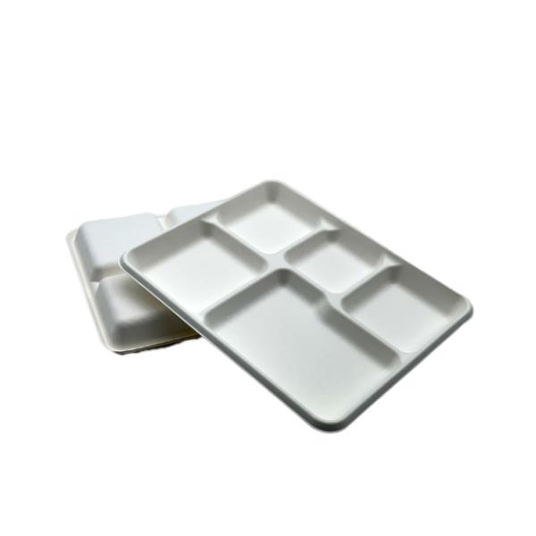 School Bagasse Biodegradable Food Trays 260x210x24mm