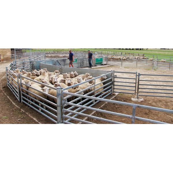 Покрытая силой сталь углерода загородки 1.8m трубы панели скотин высокая