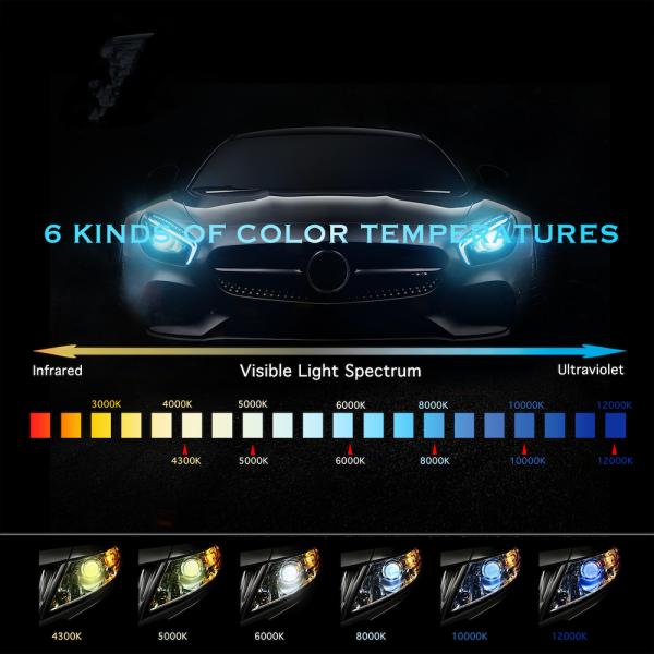 D4R HID Xenon Headlight Bulbs