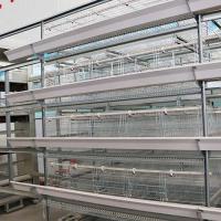 La volaille courante stable posent la cage, cage de cage de poulet de contrôle automatique