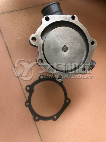 Weichai brand  engine spare parts water pump 1000054021 for sale