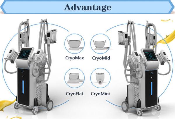 2019 best price 4 handles cryolipolysis device fat freezing lose weight machine CE FDA approved