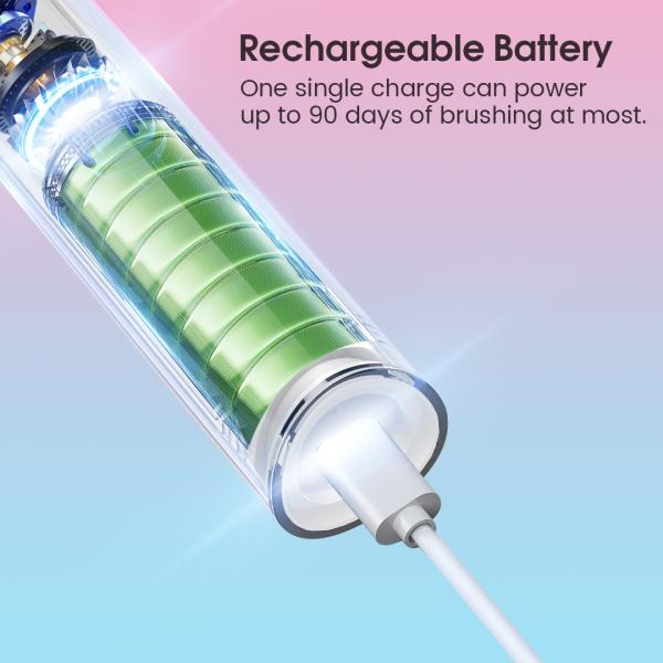 IPX7 USB Fast Charge Rechargeable Electric Toothbrush OEM Brand CE FDA UKCA