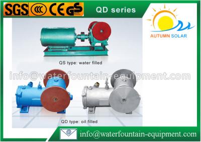 Underwater Swing Motor Cast Iron Water Pump Lightweight 50Hz Electricity Drive