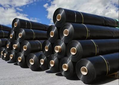 Quick and Easy Installation HDPE Geomembrane Liners for Various Liquid Storage Needs