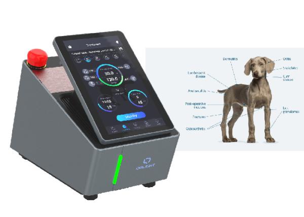 980nm Veterinary Laser Therapy Machine Class IV Laser Rehabilitation Therapy