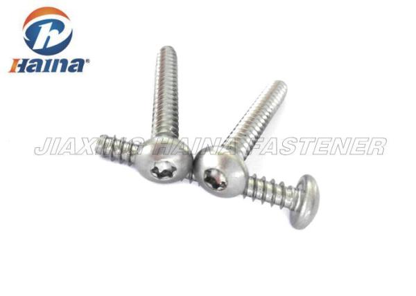 Six Lobe Torx Cheese head Pan Head Self Tapping Screws with hexalobular slot