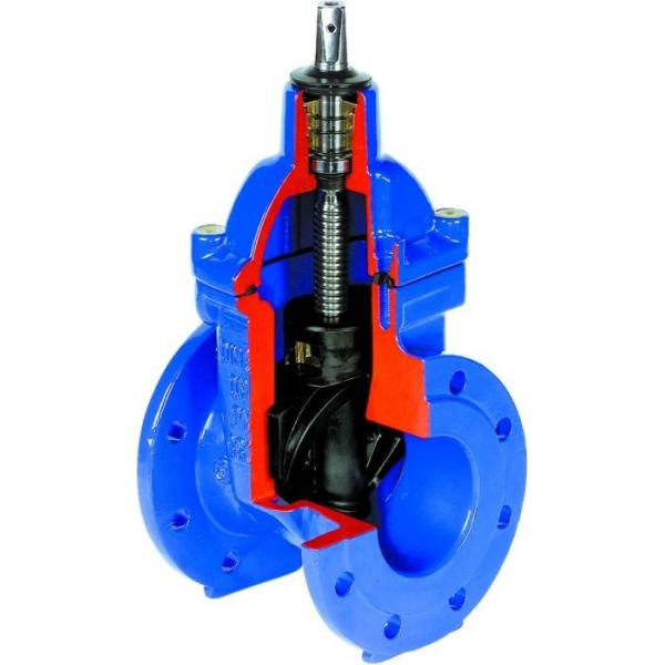 Покрытое место клапана клина резиновое на жизнерадостная усаженная запорная засл