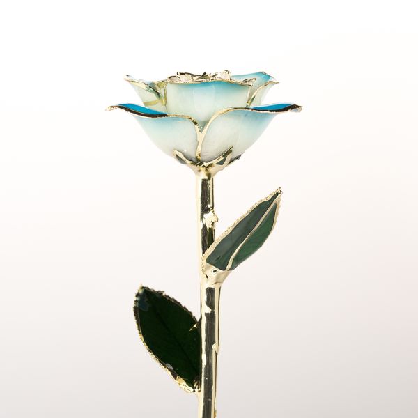 24k Gold Eternal Rose Flower Real Preserved Rose  Blue White Preserved Fresh Flower Preserved Gold Rose