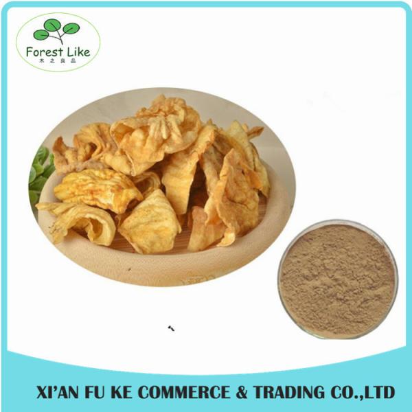 Chinese Traditional Medicine Stomachic and Aid Digestion Function Chicken's Gizzard Membrane Extract