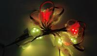 Luz de Ponto de Pixel LED de Natal 30mm RGB Luz de Pista Impermeável