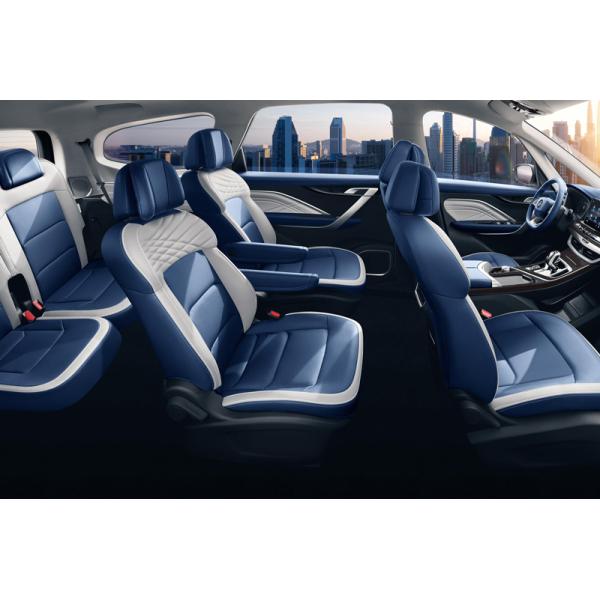 2024 Hot sales EV Electric Vehicle Maple Leaf 80v PRO Pure electric