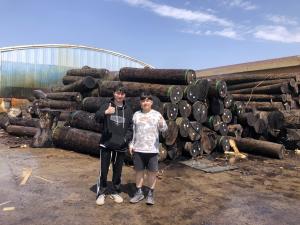 Dongguan Lingfeng Wood Industry Co., Ltd.