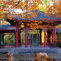 Pavillon antique personnalisable chinois de couloir de style pour le jardin