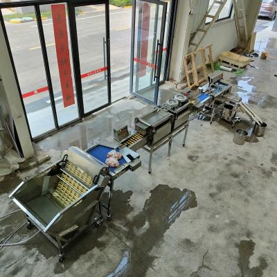 Ligne de production de la machine à frapper les œufs Traitement efficace et hygiénique des œufs