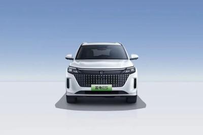 Landian E5 2024 Honor Edition 100km Automático Luxo 5 lugares com serviço online