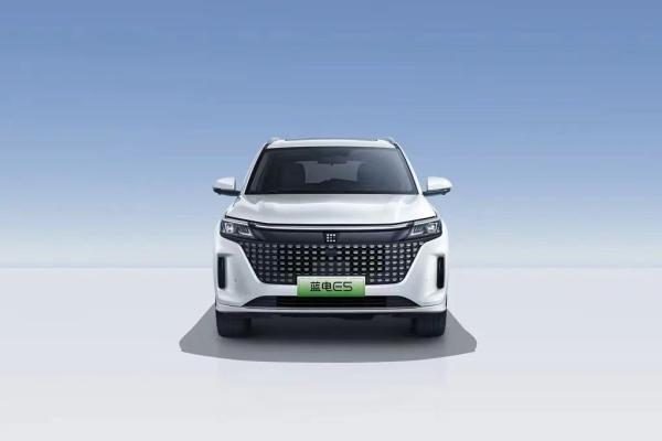 Landian E5 2024 Honor Edition 100km Automático Luxo 5 lugares com serviço online