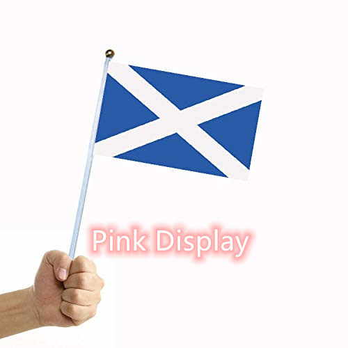 Silkscreen 100 Polyester Hand Waving Flag For Sports