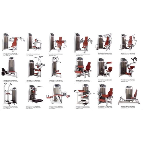 Building Body 3mm Tube Hammer Strength Smith Machine OEM ODM