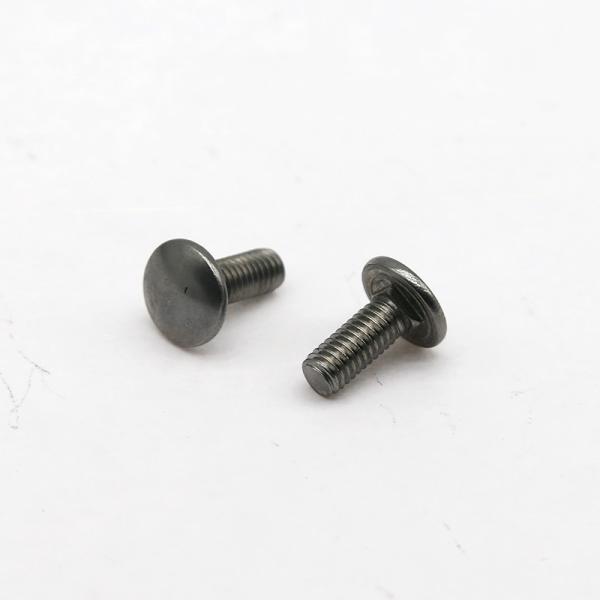 Stainless Steel Customization Carriage Bolts ASTM A307 DIN 603