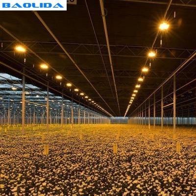 Agriculture Automated Blackout Greenhouse / Plastic Polythene Grow Tunnel