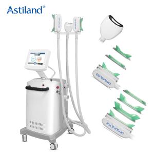 Безболезненное удаление двойного Chin тела замерзая машины Cryolipolysis 3 ручек жирное