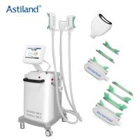 Dobro gordo indolor Chin Removal do corpo de máquina da congelação de Cryolipolysis de 3 punhos