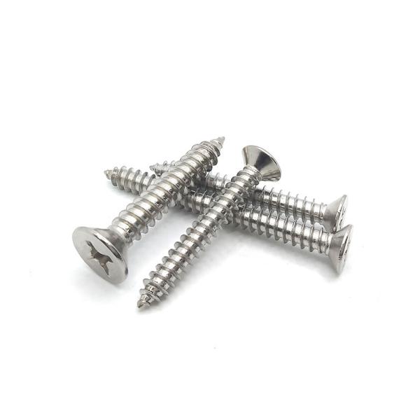 Affordable Grade 4.8/ 8.8/ 10.9/ 12.9 Ect SS304 Stainless Steel Self Tapping Screws