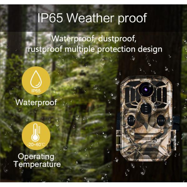 Outdoor Wirless Thermal Security Night Vision Hunting Camera 24MP 4k Wifi Trail Camera