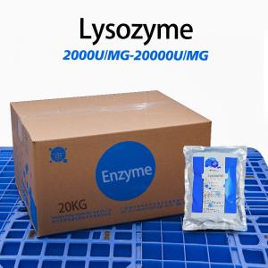 2000U/MG-20000U/MG Lysozyme Extraction From Egg White Lysozyme Powder