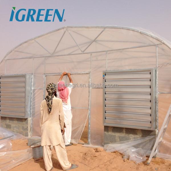 Low Cost Metal Frame Greenhouse for Vegetable Growing