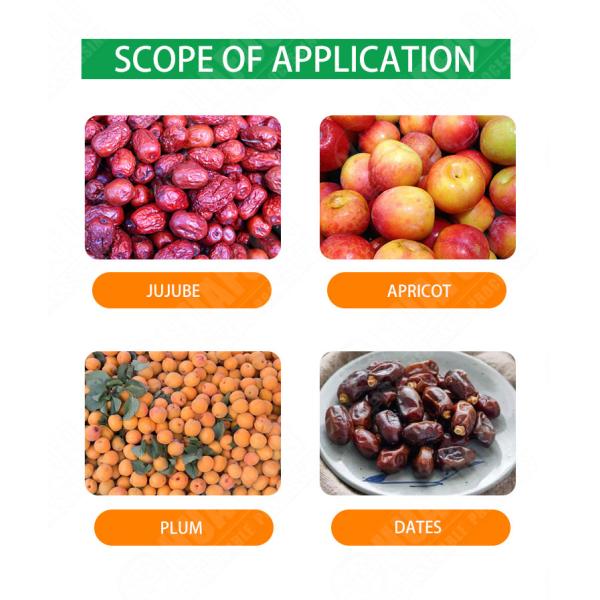 Electric cherry pitting machine pitter cherry pit remove machine