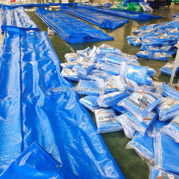 UV Resistant Plastic Fabric Sheet Reinforced Tarpaulin for Agriculture/Industrial Cover