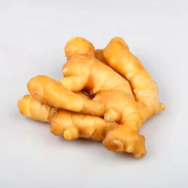 China Hsupplier Buyers of Fresh Ginger Agriculture of Eat Fresh Ginger