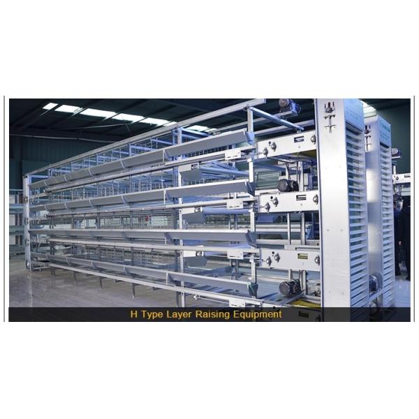 South Africa Livestock Farming Equipment Galvanized Frame Modern Design