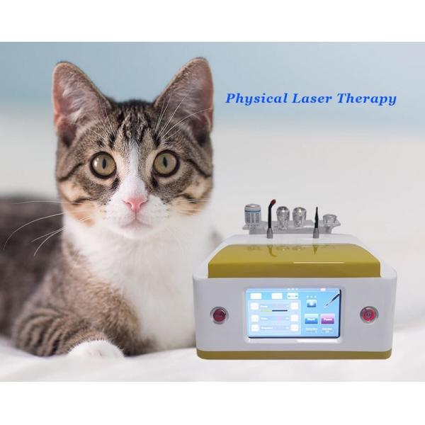 Любимцы мучат прибор лазера терапией лазера хирургического диода 980nm спасения ветеринарный