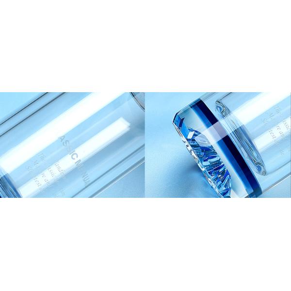 Outdoor 400ml Double Wall Glass Bottle , Coffee / Tea Infuser Water Bottle