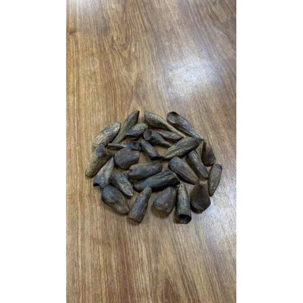 NhaTrang Bai Qinan 10A Small Whole OUD Agarwood Material Natural Selected Submersible Grade Old Material Oil Thick