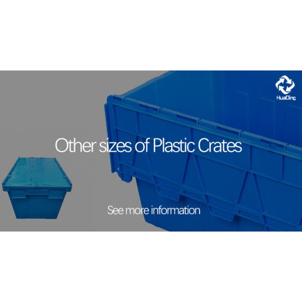 600*400*103 Folded Size Plastic Crates The Ultimate Storage Solution for Vegetables