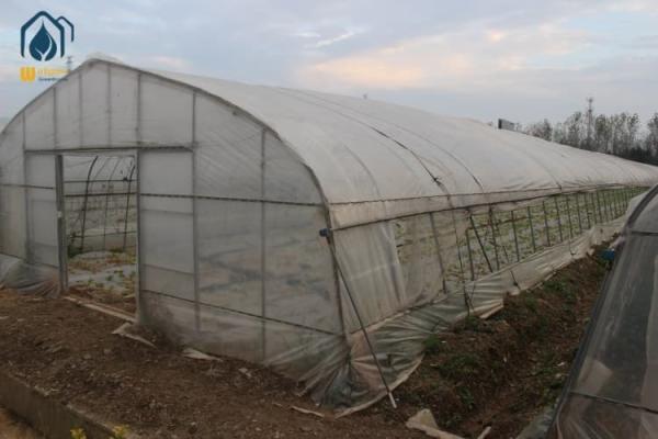 Tomato Tunnel Greenhouse And Tunnel Vegetable Hot House For Extended Harvests