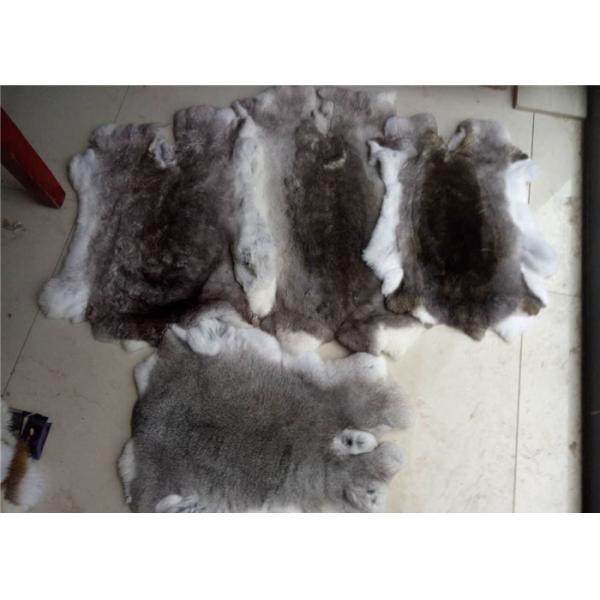 Capa que alinea la densidad pesada mullida suave real de Rex de la piel entera del conejo para el invierno